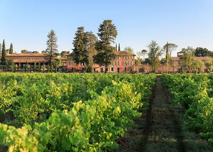 Château Saint Roux Le Luc-Le Cannet des Maures